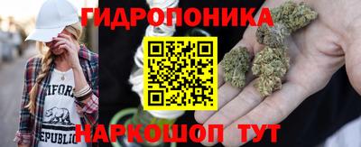 стафф Бугуруслан