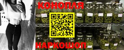 винт Будённовск