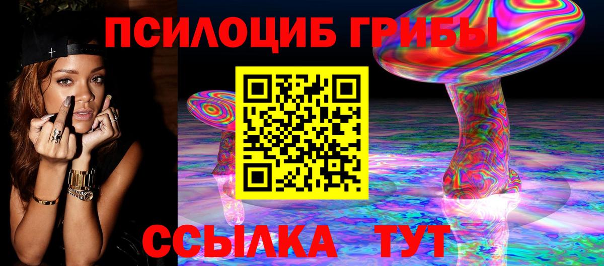Псилоцибиновые грибы Cubensis  цены   Орехово-Зуево  Вход с VPN 