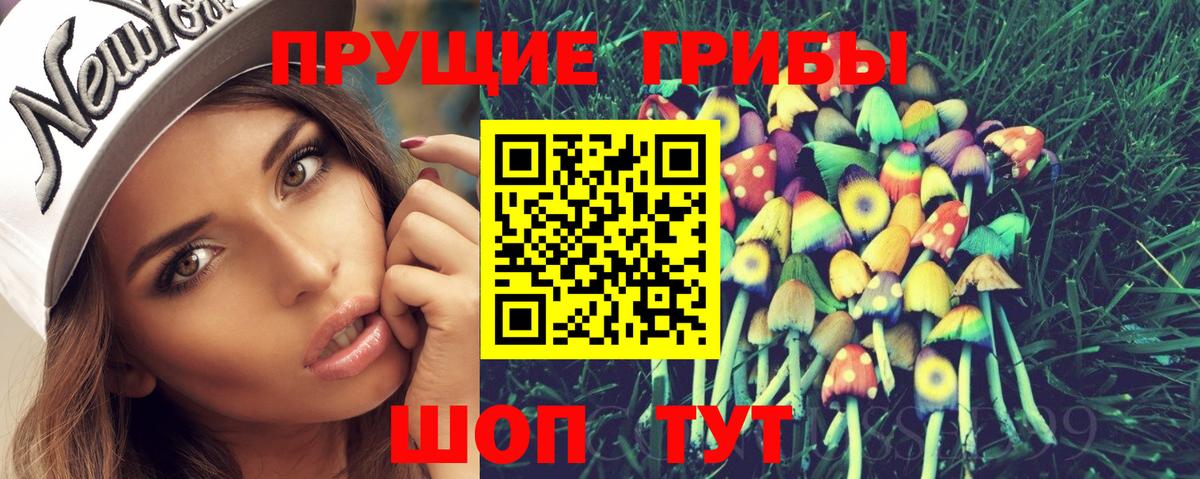 Галлюциногенные грибы Psilocybe Орехово-Зуево